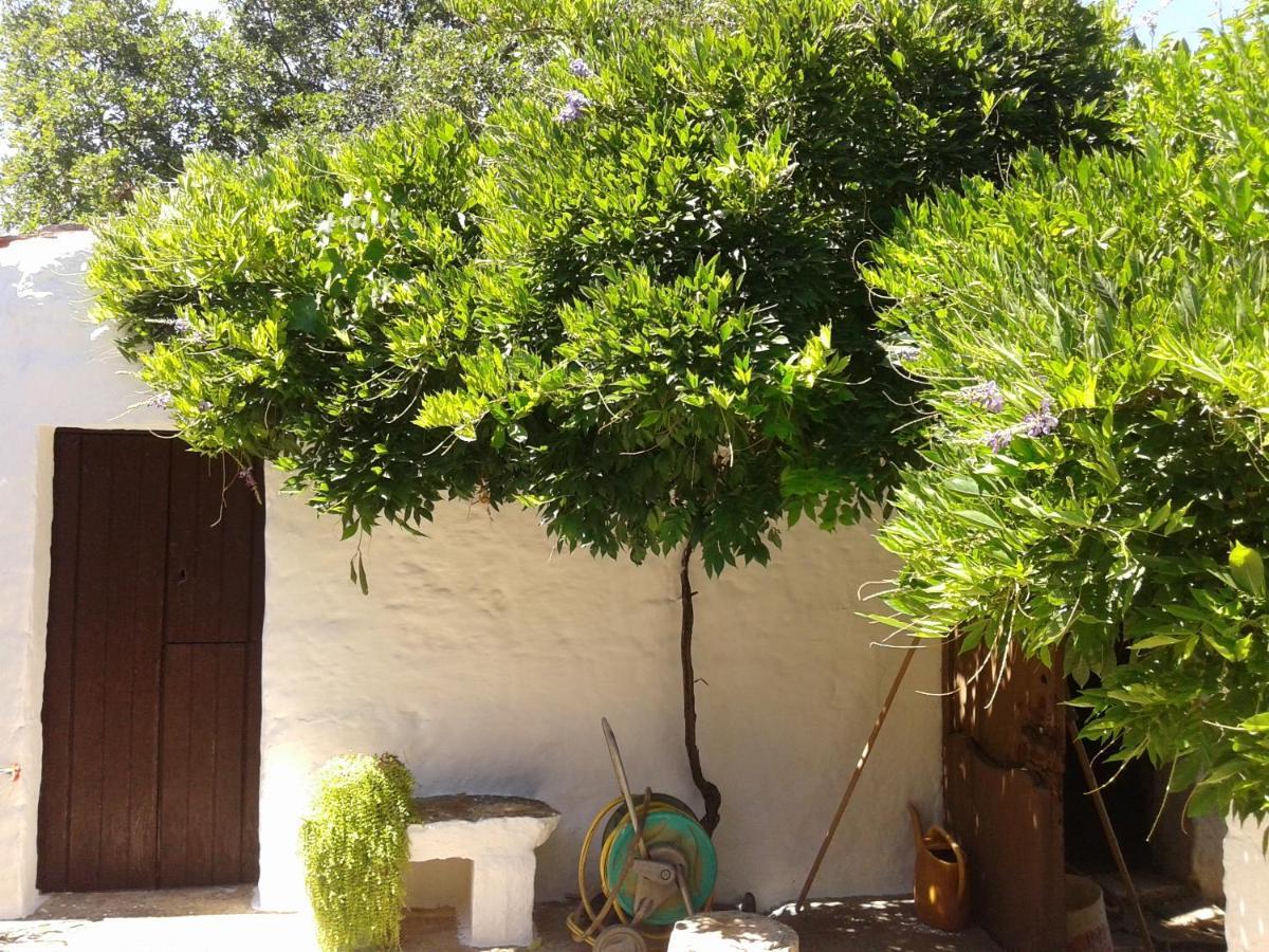 מונופולי B&B Bell'Aria מראה חיצוני תמונה