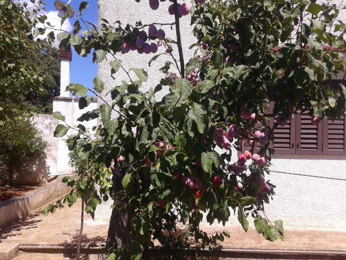 מונופולי B&B Bell'Aria מראה חיצוני תמונה