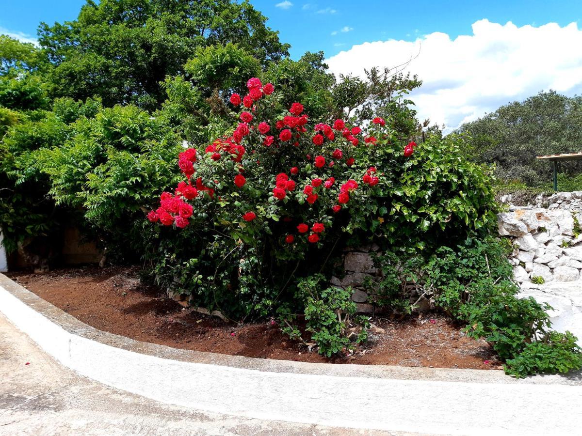 מונופולי B&B Bell'Aria מראה חיצוני תמונה